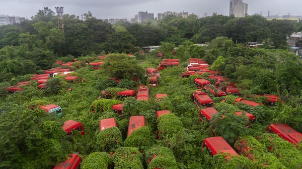 Растения растут на микроавтобусах компании Brihanmumbai Electricity Supply and Transport, Индия - Sputnik Беларусь