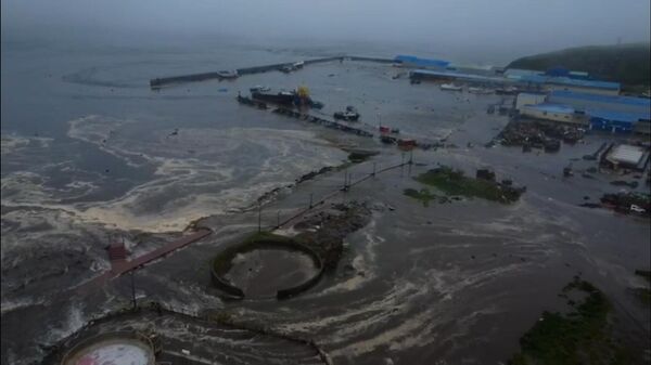 Операция онкологов, цунами и танец автомобилей: видео землетрясения на Камчатке - Sputnik Беларусь