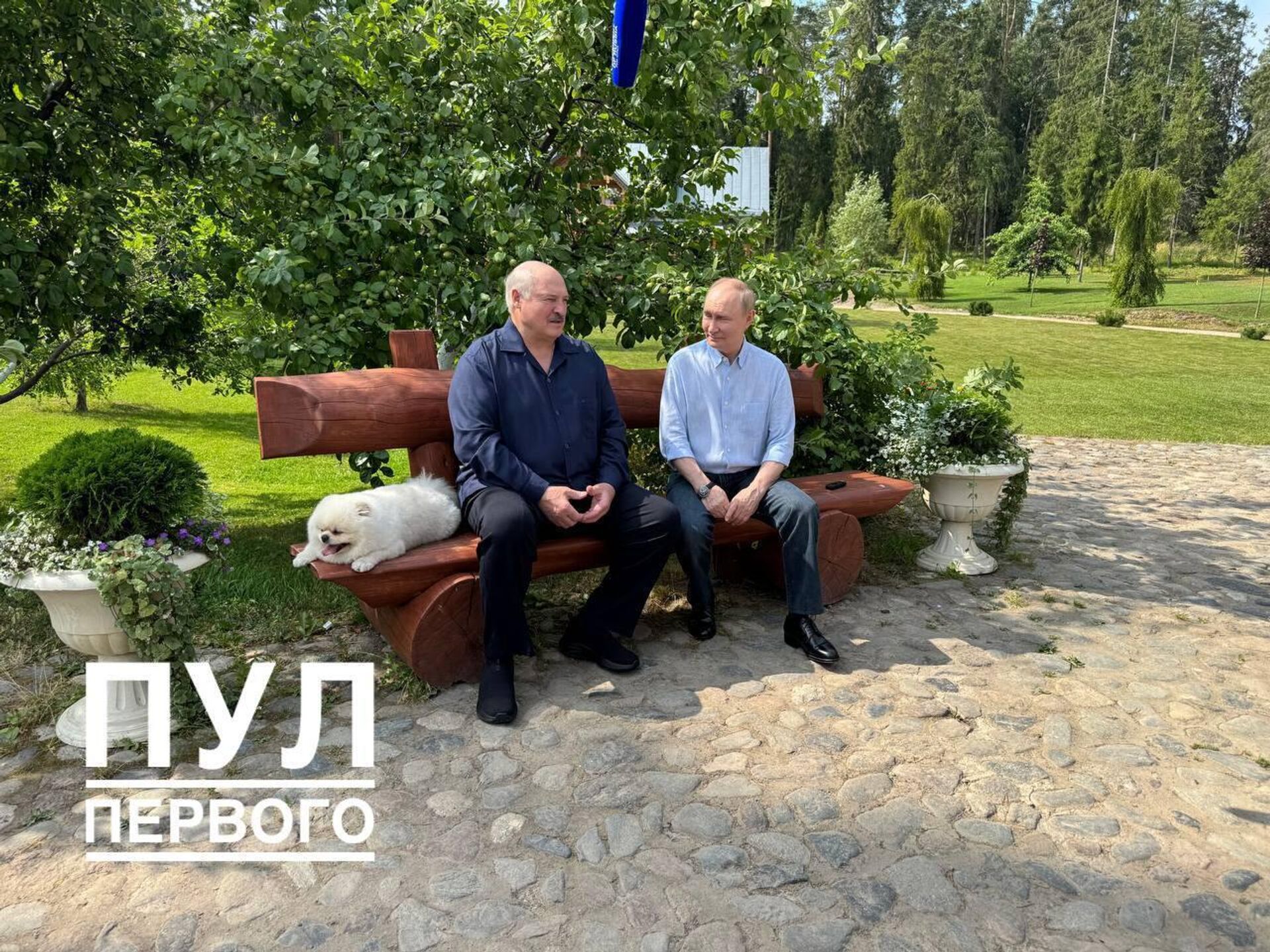 Неформальная встреча президентов Беларуси и России Александра Лукашенко и Владимира Путина на Валааме Неформальная встреча президентов Беларуси и России Александра Лукашенко и Владимира Путина на Валааме - Sputnik Беларусь, 1920, 01.08.2025