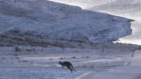 Снег в Австралии - Sputnik Беларусь