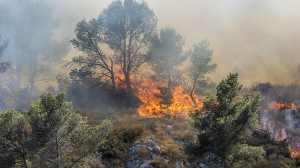 Лесные пожары во Франции, архивное фото - Sputnik Беларусь