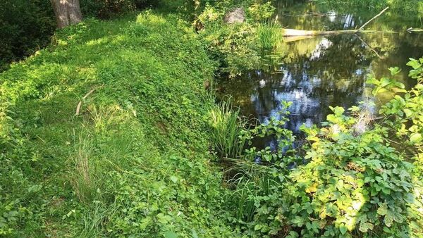 Река Мухавец - Sputnik Беларусь