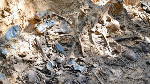 В Полоцком районе при раскопках ранее неизвестного места захоронения обнаружены останки не менее 45 расстрелянных в войну нацистами мирных граждан - Sputnik Беларусь