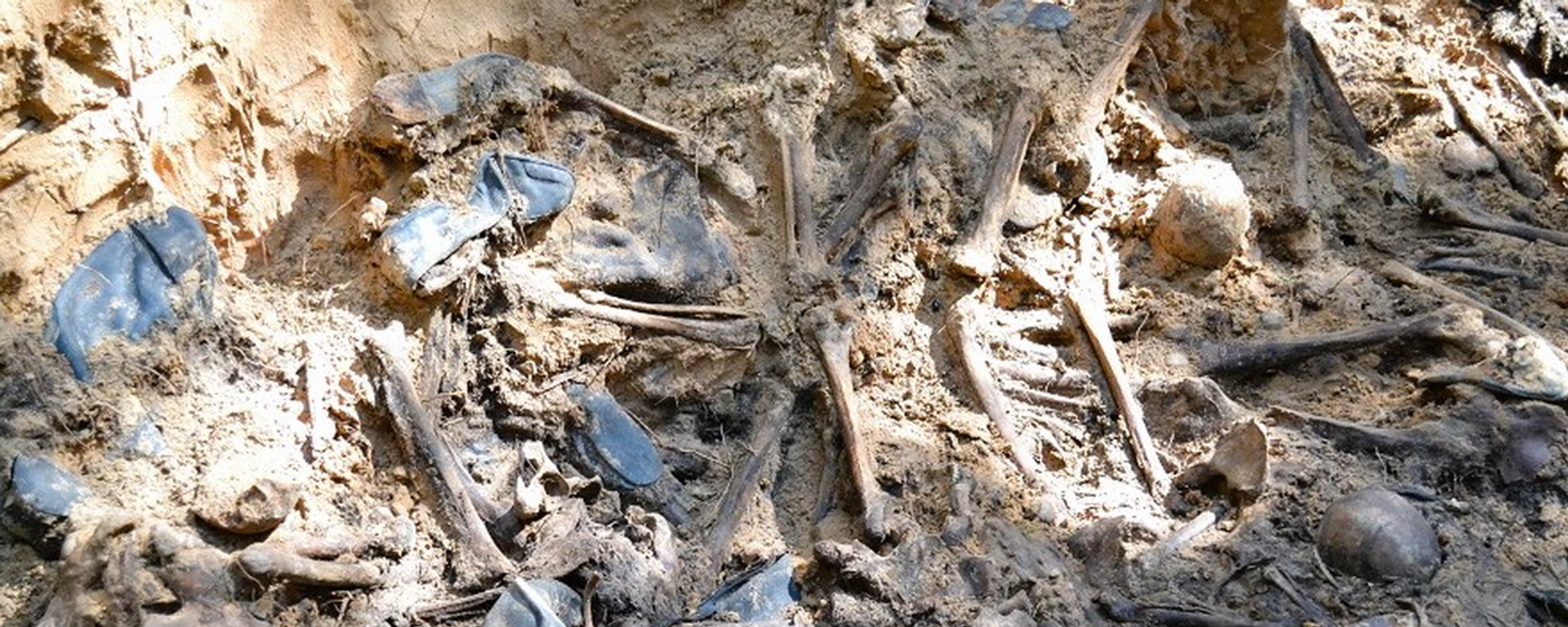 В Полоцком районе при раскопках ранее неизвестного места захоронения обнаружены останки не менее 45 расстрелянных в войну нацистами мирных граждан - Sputnik Беларусь, 1920, 06.08.2025