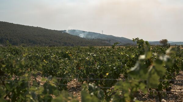 Пожар рядом с виноградниками во Франции - Sputnik Беларусь