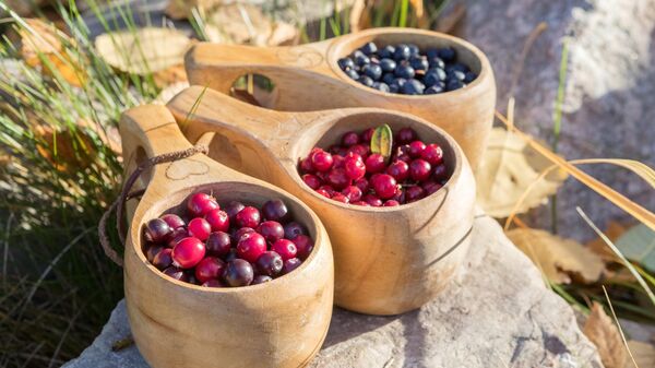 Сезон сбора ягод, архивное фото - Sputnik Беларусь