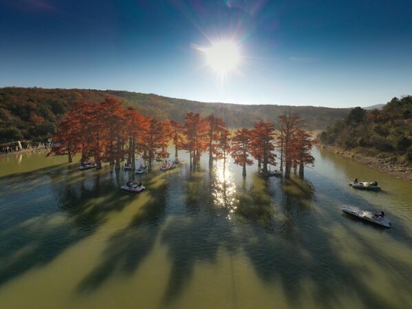 Снимок Кипарисового озера фотографа Сергея Шандина , представленный на фотовыставке С высоты птичьего полета - Sputnik Беларусь