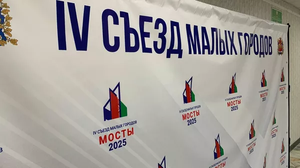 IV Съезде малых городов Гродненской и Нижегородской областей - Sputnik Беларусь