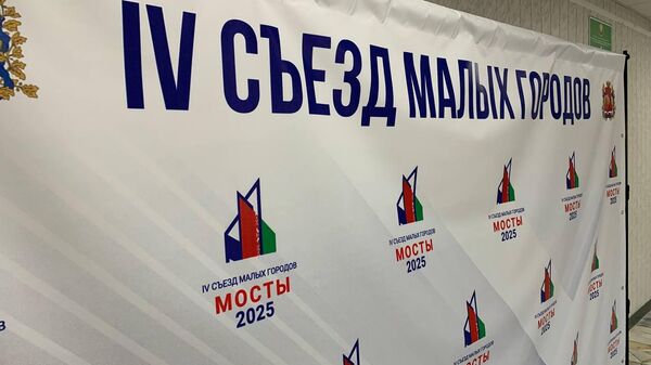 IV Съезде малых городов Гродненской и Нижегородской областей - Sputnik Беларусь