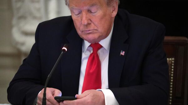Прэзідэнт ЗША Дональд Трамп - Sputnik Беларусь