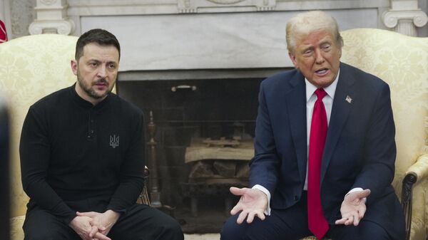 Дональд Трамп і Уладзімір Зяленскі - Sputnik Беларусь