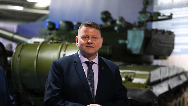 Валерий Залужный - Sputnik Беларусь