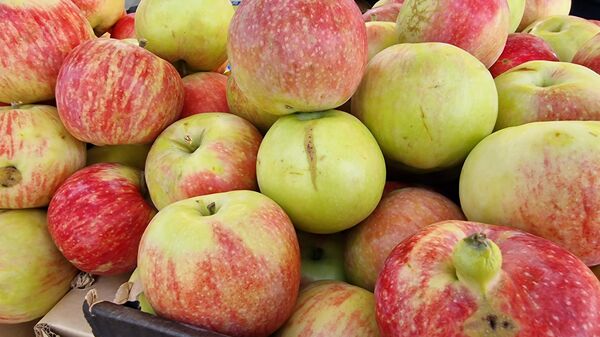 Яблоки на Комаровском рынке - Sputnik Беларусь