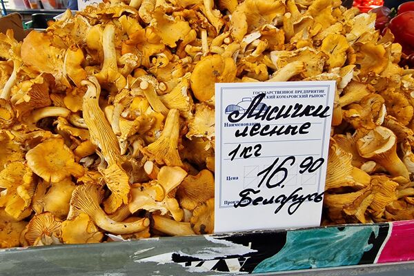 Лисички на рынке - Sputnik Беларусь