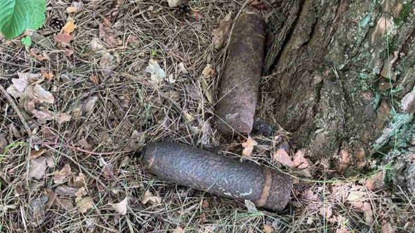 На территории Гродненской области найдены снаряды времен ВОВ - Sputnik Беларусь