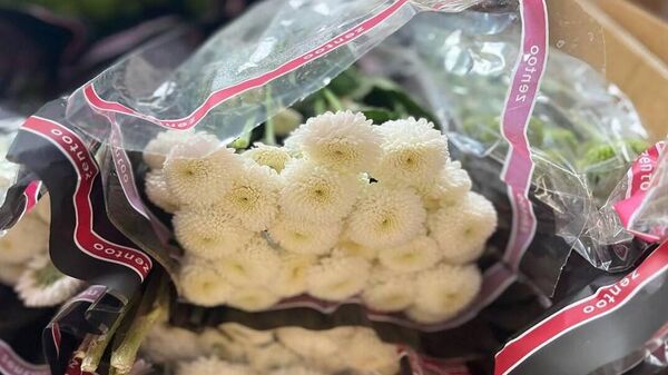 Найденные у ИП цветы - Sputnik Беларусь