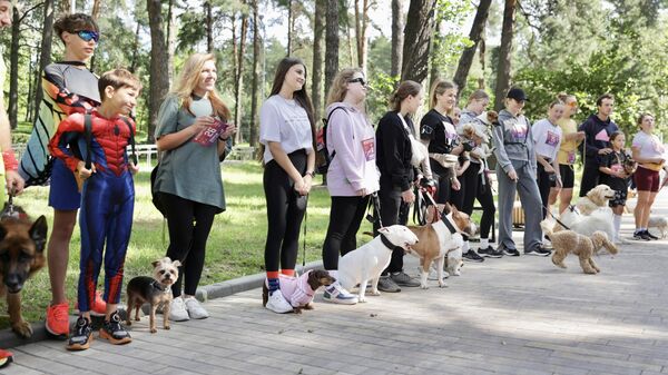 Благотворительный Лохматый марафон прошел в Минске - Sputnik Беларусь