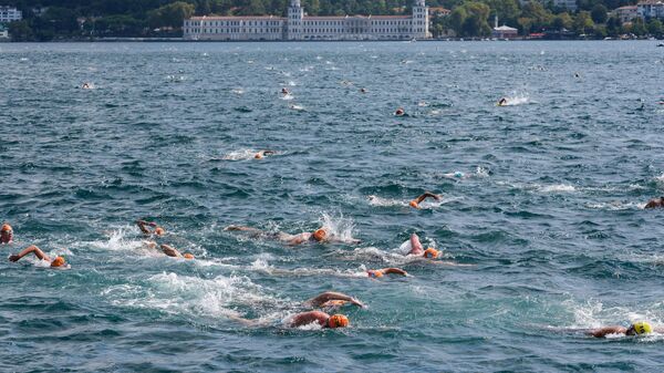 Заплыв в Босфоре - Sputnik Беларусь