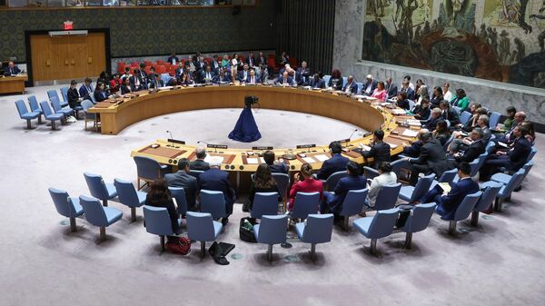 Заседание Совета Безопасности ООН  - Sputnik Беларусь