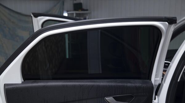 Тонированное стекло автомобиля - Sputnik Беларусь