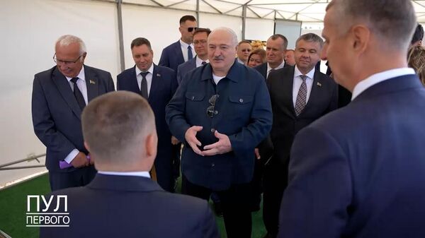 Лукашенко: Путин у меня просит картошки дать – своей белорусской  - Sputnik Беларусь