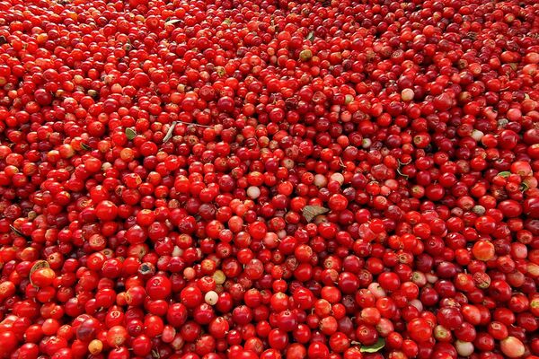 Комаровский рынок - Sputnik Беларусь