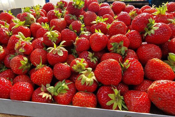 Комаровский рынок - Sputnik Беларусь