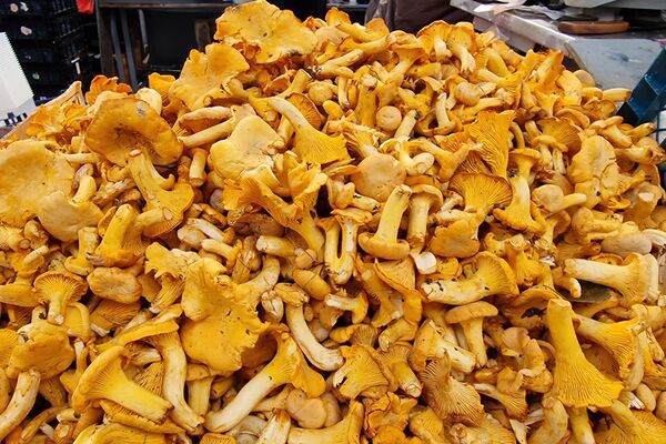 Комаровский рынок - Sputnik Беларусь