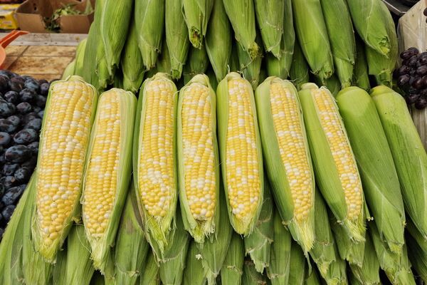 Комаровский рынок - Sputnik Беларусь