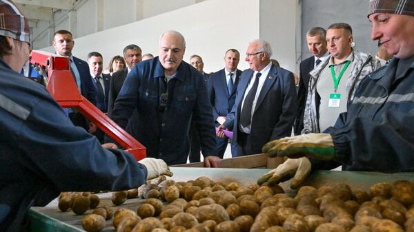 Президент Беларуси Александр Лукашенко - Sputnik Беларусь