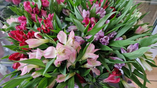 Продажа цветов - Sputnik Беларусь