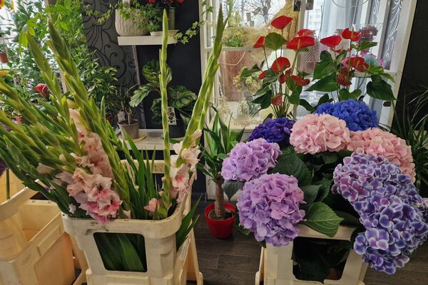 Продажа цветов - Sputnik Беларусь