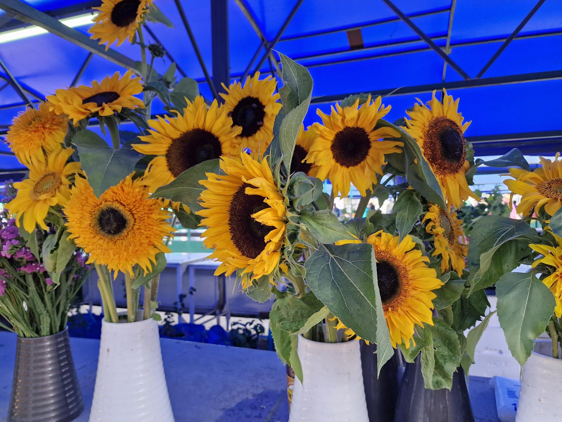 Продажа цветов - Sputnik Беларусь, 1920, 29.08.2025