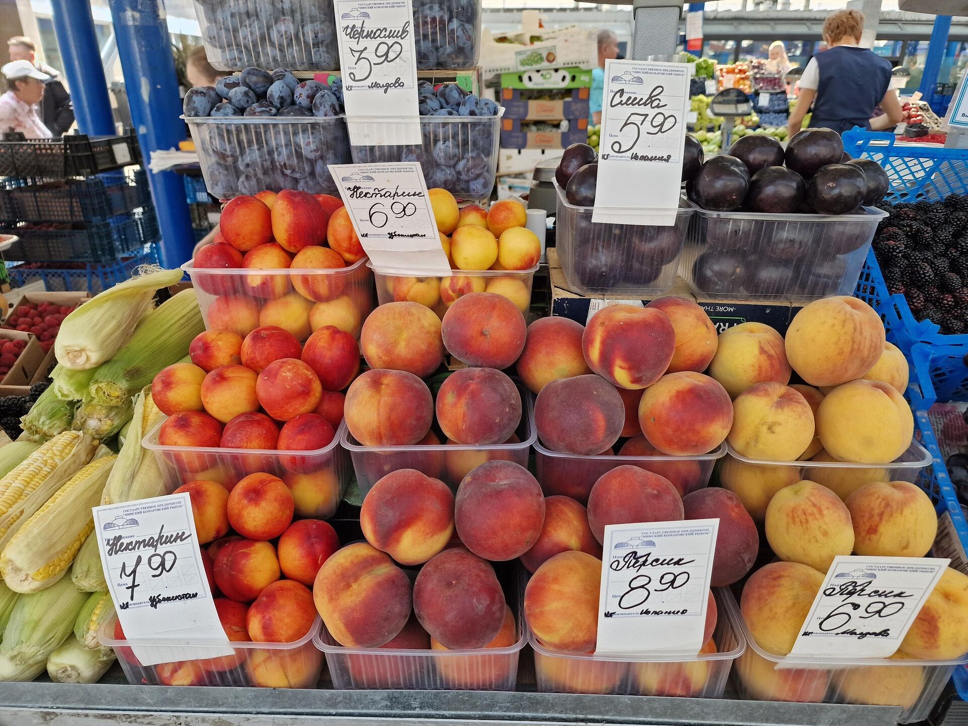 Цены на Комаровском рынке Цены на Комаровском рынке - Sputnik Беларусь, 1920, 04.09.2025