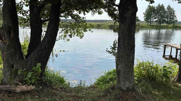 Река Пина - Sputnik Беларусь