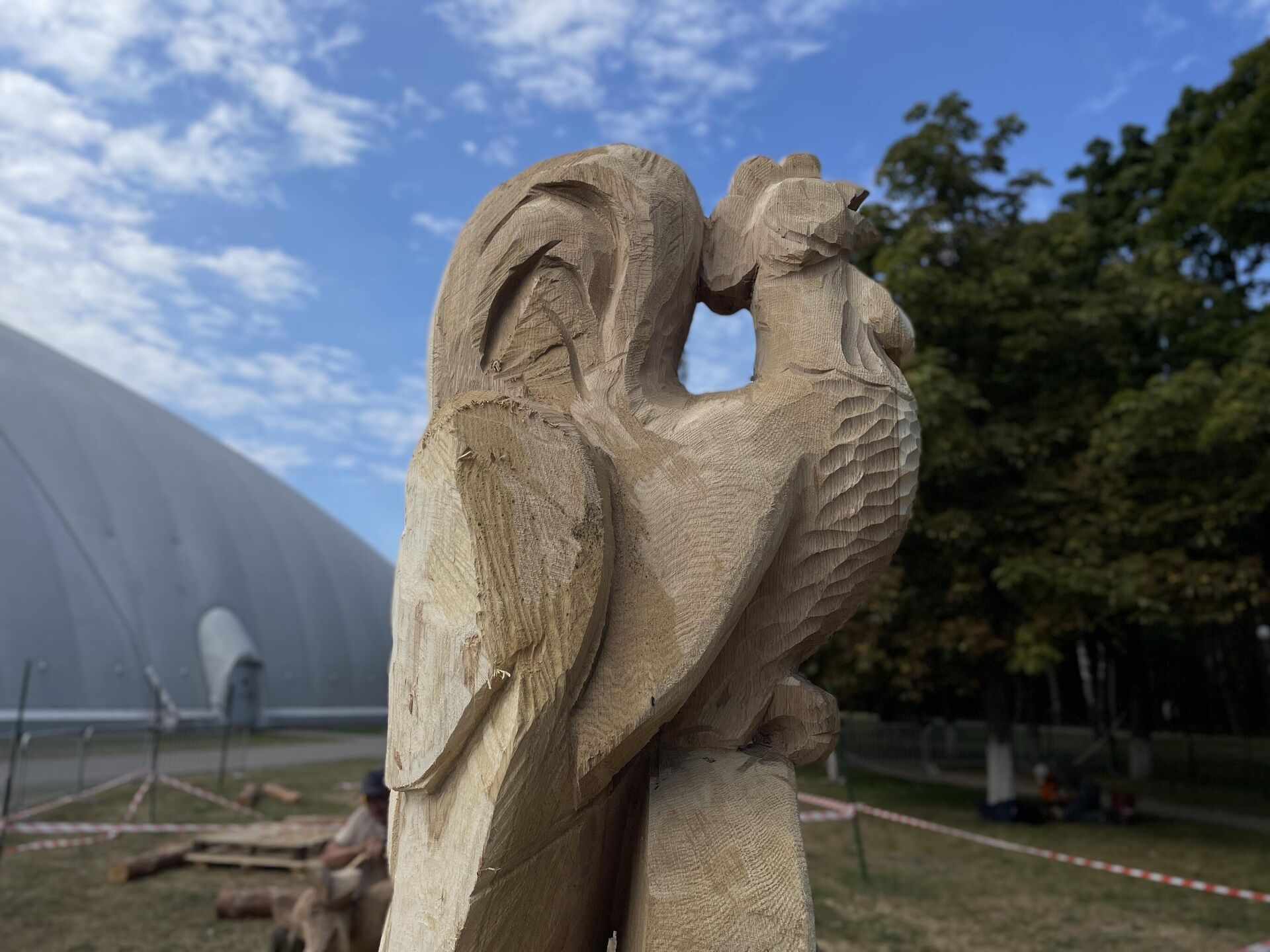 Все скульптуры мастера вырезают из двухметровых заготовок диаметром более полуметра - Sputnik Беларусь, 1920, 06.09.2025