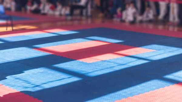 Татами, архивное фото - Sputnik Беларусь