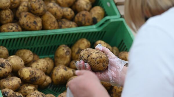 Забеспячэнне харчовай бяспекі ва ўмовах глабальнага пацяплення - Sputnik Беларусь