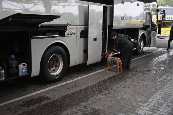   - Sputnik Беларусь