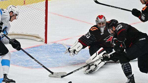 Матч между ХК Динамо (Минск) и ХК Авангард - Sputnik Беларусь