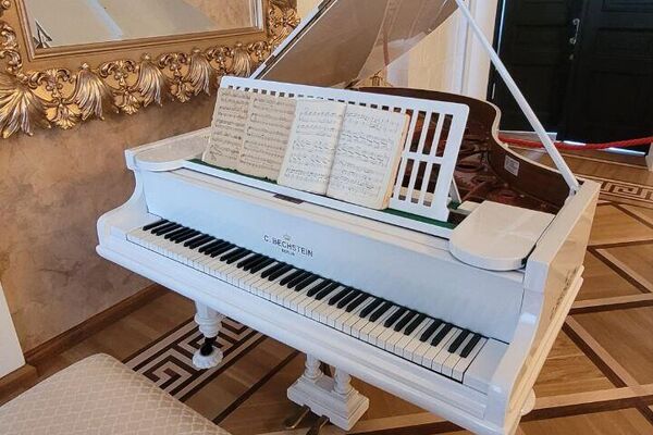 Интерьеры в Дворцово-парковом ансамбле Булгаков в Жиличах Могилевской области Интерьеры в Дворцово-парковом ансамбле Булгаков в Жиличах Могилевской области - Sputnik Беларусь