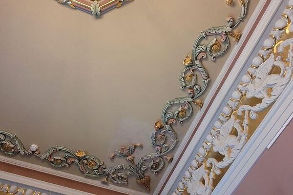 Потолки в Дворцово-парковом ансамбле Булгаков Потолки в Дворцово-парковом ансамбле Булгаков - Sputnik Беларусь