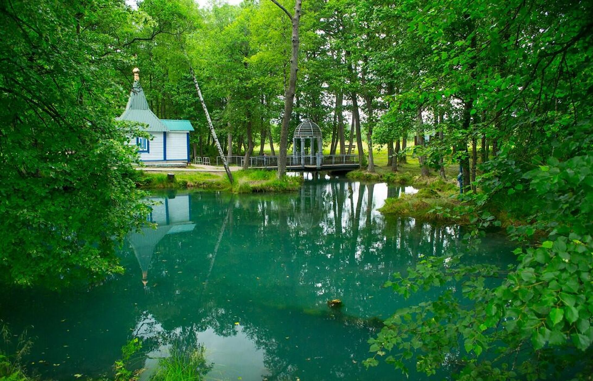 Гидрологический памятник природы Голубая криница в Славгородском районе Могилевской области Гидрологический памятник природы Голубая криница в Славгородском районе Могилевской области - Sputnik Беларусь, 1920, 19.09.2025