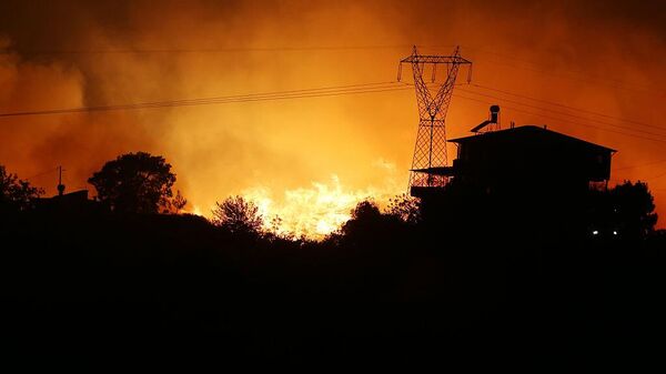 Лесные пожары в турецкой Анталье - Sputnik Беларусь