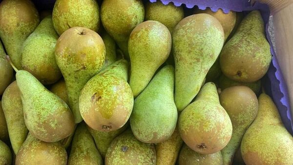 Задержанные на границе груши - Sputnik Беларусь