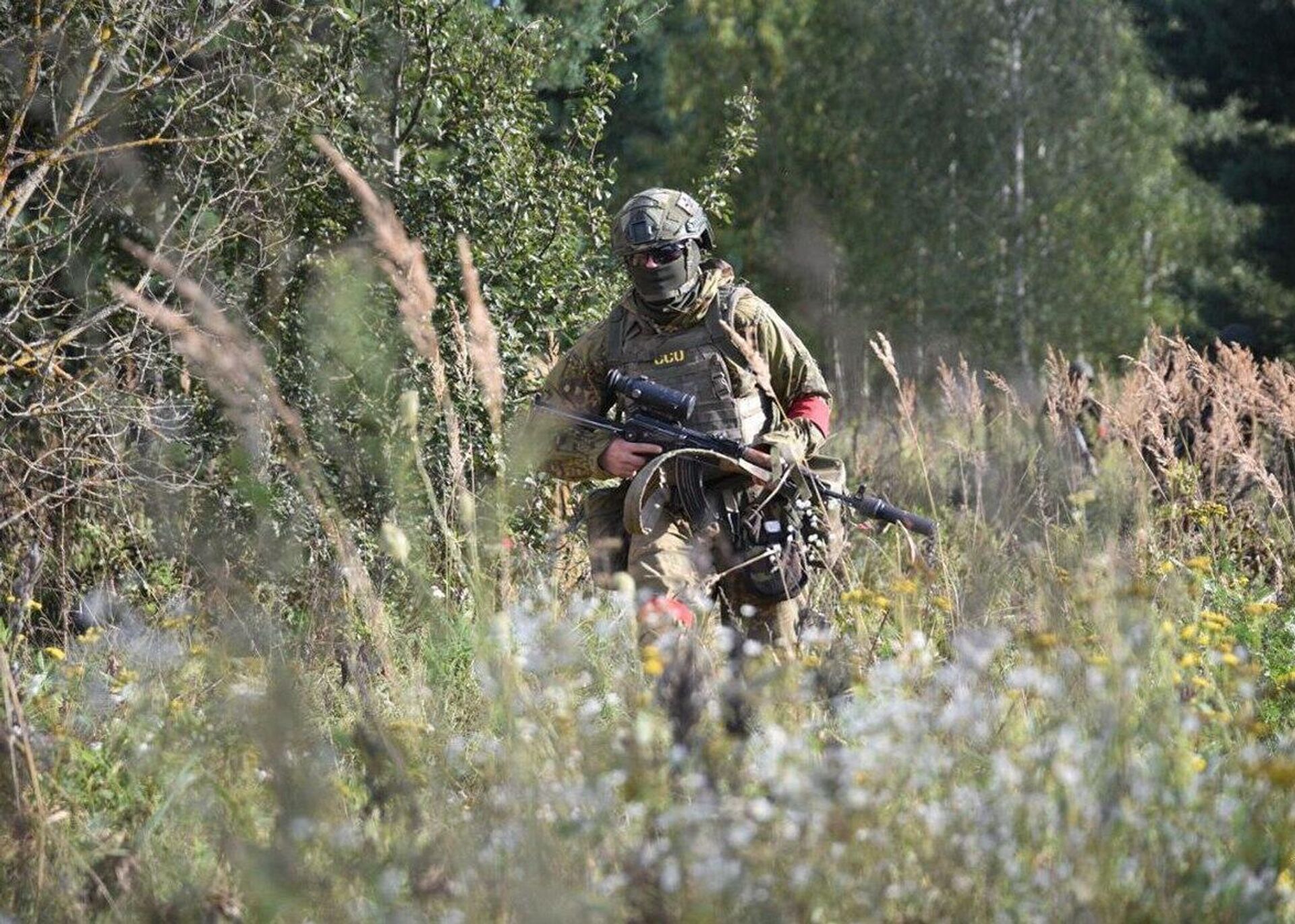 Силы спецопераций усиливают госграницу Беларуси - Sputnik Беларусь, 1920, 23.09.2025