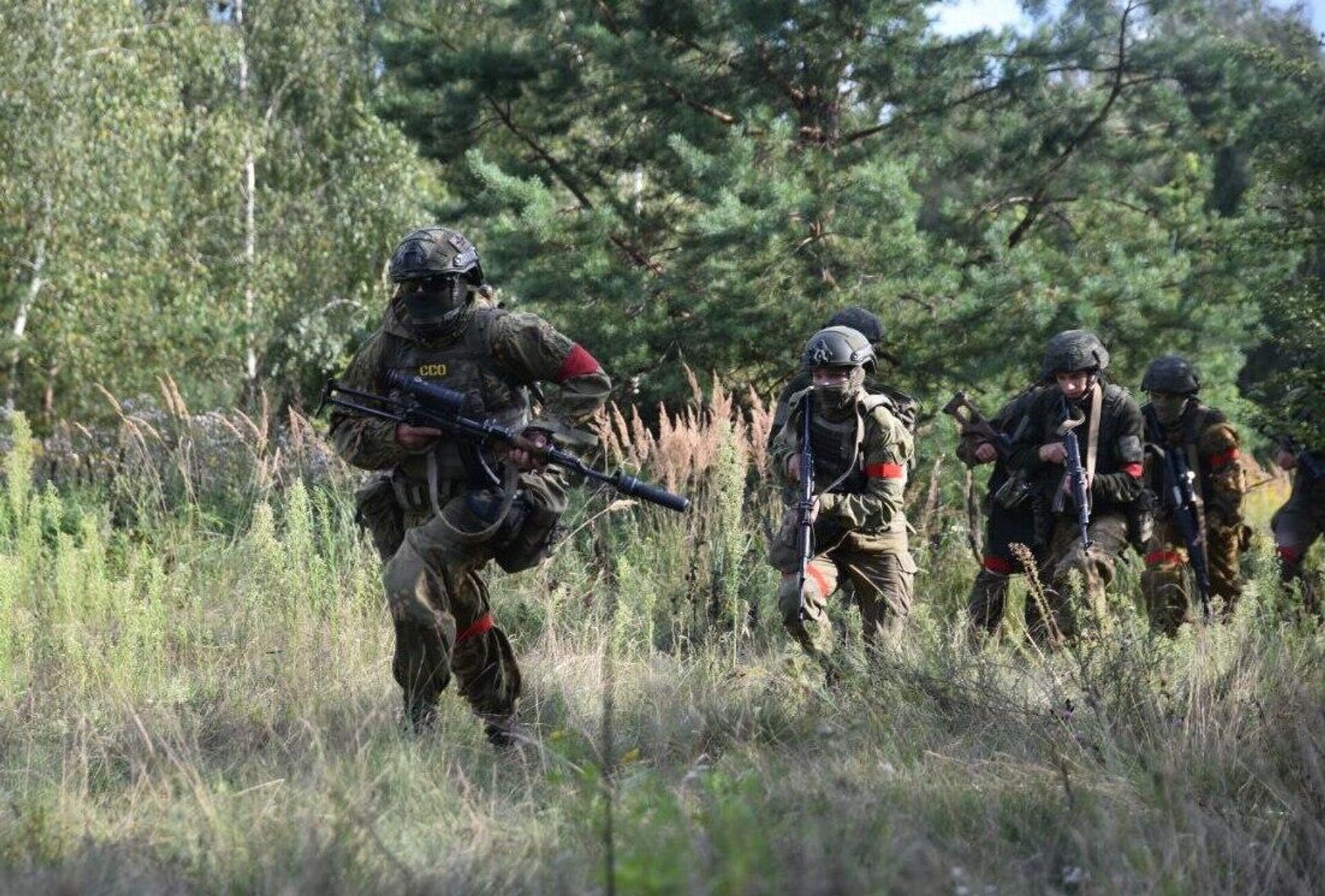 Силы спецопераций усиливают госграницу Беларуси - Sputnik Беларусь, 1920, 23.09.2025