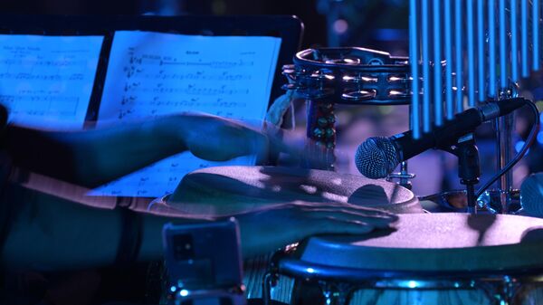 Игра на музыкальных инструментах - Sputnik Беларусь