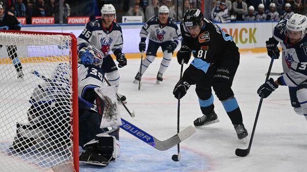 Виталий Пинчук у ворот Торпедо - Sputnik Беларусь