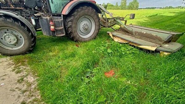 На месте происшествия - Sputnik Беларусь